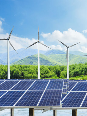 商務(wù)顧問(wèn) 招聘